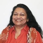 Special Rapporteur on the human rights situation